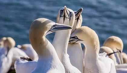 世界杯直播app官方下载安装中心-沈阳“战书”,收到回应了!